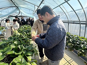 주간활동서비스 (지역사회활동_딸기밭체험)