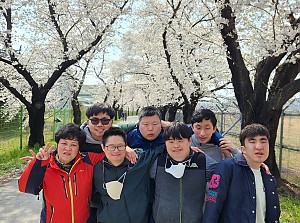 특별활동(벚꽃 나들이)