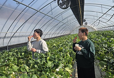 청소년 방과후활동서비스 (1월)